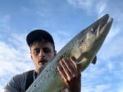Salmon angling sporadic on Blackwater but good fish about salmon