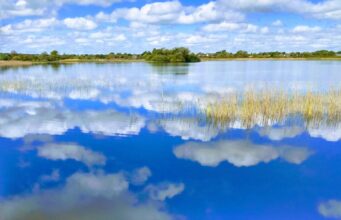 Lake O’Flynn Anglers to host Donnellan Cup on Sun 17th August Lough O'Flynn