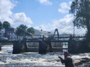 Salmon catches up significantly on the River Moy