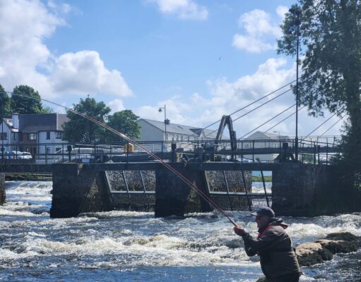 Salmon catches up significantly on the River Moy