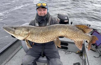 Pike to 105cm and perch to 39.5cm on Derg Senan with a pike