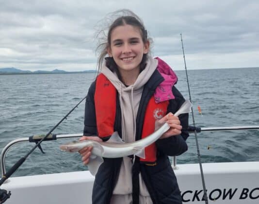 The young guns with a few of their species, Hound, Poorcod, Codling