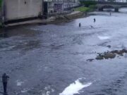 Salmon catches on the up on the River Moy