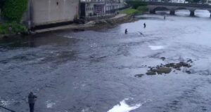 Salmon catches on the up on the River Moy
