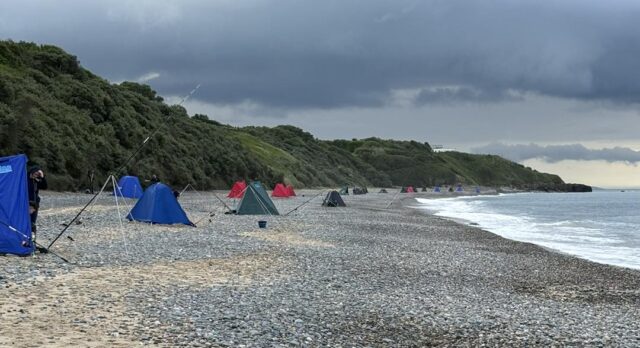 Roney Point