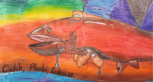 salmon regs