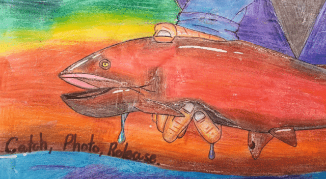 salmon regs