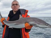 Good tope and other fishing for Wicklow Charters