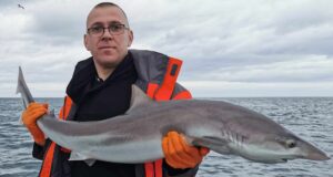 Good tope and other fishing for Wicklow Charters