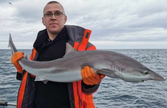 Good tope and other fishing for Wicklow Charters