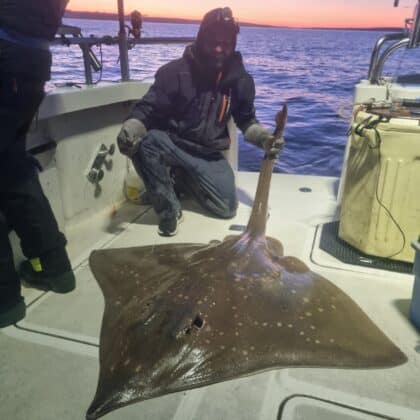skate