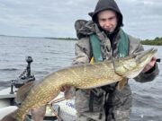 Great fishing on Lough Ree for Grandfather/Grandson double act