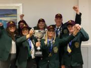 Clean sweep for Irish teams in Home Nations Shore Angling