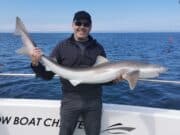 Prime Tope time for anglers fishing with Wicklow Boat Charters