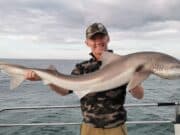 Tough tope weather but specimens caught and a recapture too tope