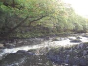 Kerry Blackwater low but grilse caught after rain Kerry Blackwater