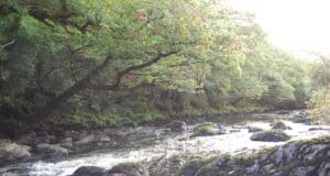Kerry Blackwater