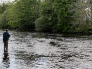 Ireland on the Fly Podcast – Grilse Update from the Moy
