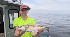Twenty-one species for Killybegs Mariners