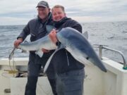 Shark and skate fishing picking up for Silver Dawn