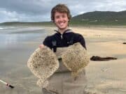 Turbot and bass at Galway Bay SAC competition in Mayo