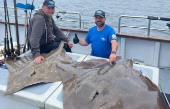 Two fine skate
