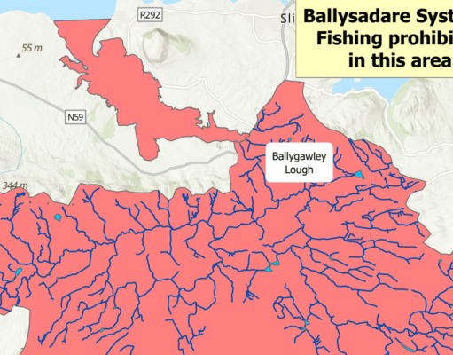 All fishing suspended on Ballysadare River and estuary