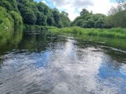 No big improvement on Blackwater as rain misses mark ballygarret blackwater