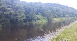 Salmon fishing on the Munster Blackwater not going as expected blackstone, blackwater