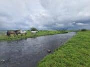 Irish Angling Update 🎣 19 July 2024