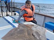 More good skate fishing at Courtmacsherry Sea Angling Centre skate