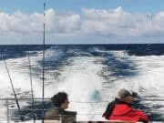 Good range of species for anglers on Kincasslagh’s Saoire Marie Saoire Marie