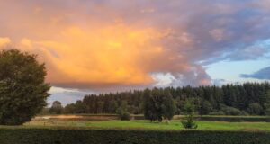 laois angling centre