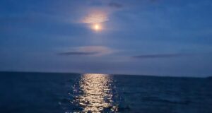 night fishing