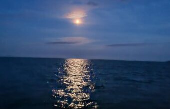 night fishing