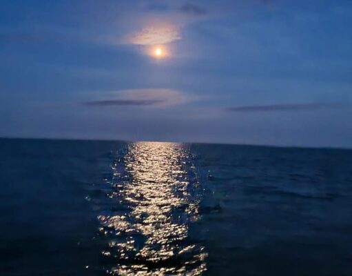night fishing