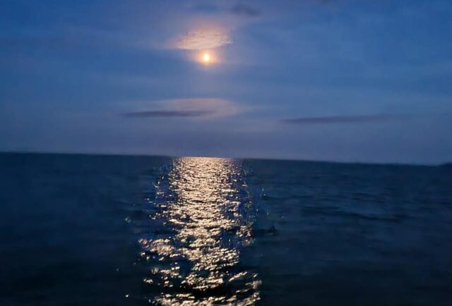 night fishing night fishing