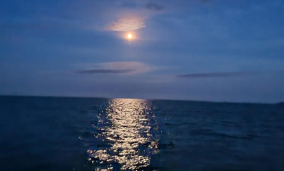 night fishing