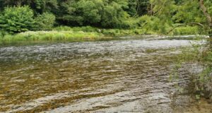 Excellent trout fishing on the Nore – Piscari-Fly update