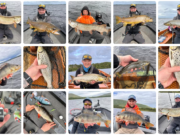 Trout to 69cm, pike to 111cm and 130 perch to 35cm all in one day What a full day of fishing!
