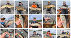 What a full day of fishing!