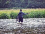 The River Whispers – Dan’s blog returns