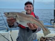 Great ling fishing for anglers fishing with West Cork Charters