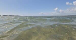 Irish Angling Update π£ 30 August 2024