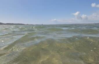 Irish Angling Update 🎣 30 August 2024