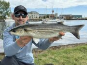 Mullet season kicks off