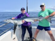 Great shark fishing continues on the Clare Dragoon