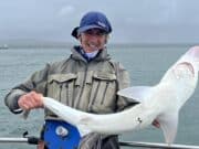 Tope and more from Shannon Estuary in windy west Clare