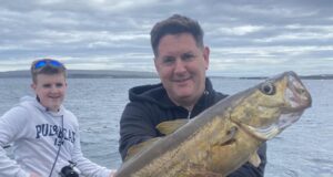 Pollack and wrasse aplenty in Galway Bay