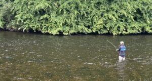 The River Whispers No. 5 by Dan O’Neill